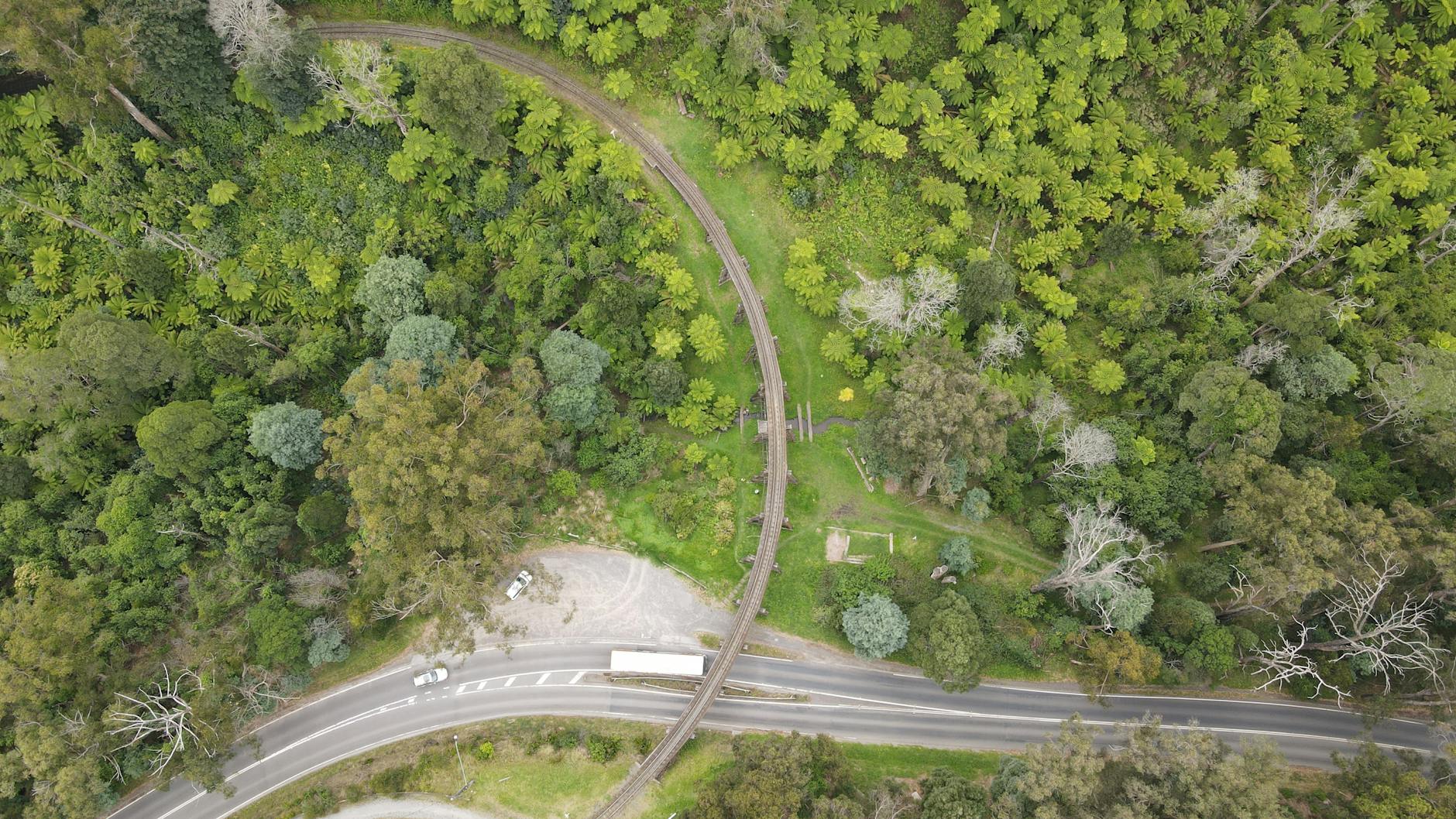 [🚂퍼핑 빌리+필립 섬 콤보] 레트로 증기기관차,동화마을&야생 사파리+펭귄 퍼레이드 투어