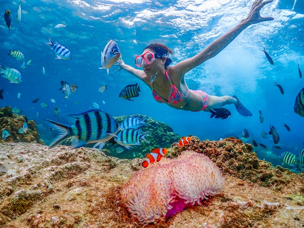 [특가★][파타야 출발]니모섬 스노쿨링(1일 정원제한)(수중촬영)