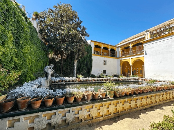 SEG 세비야에서 그라나다로! 론다+프리힐리아나+네르하 [당일이동/세비야>그라나다]” style=”max-width: 100%; border-radius: 8px;”>    </p>
<p style=