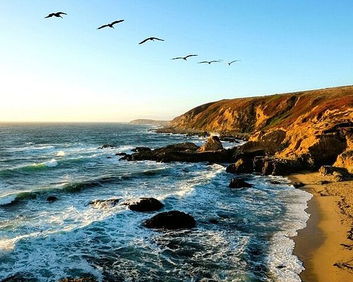 최고의 보데가베이 단독 투어