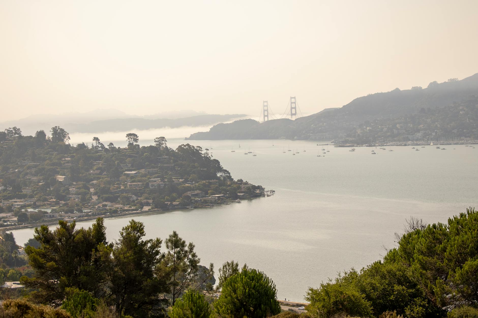 안개 낀 소살리토 금문교