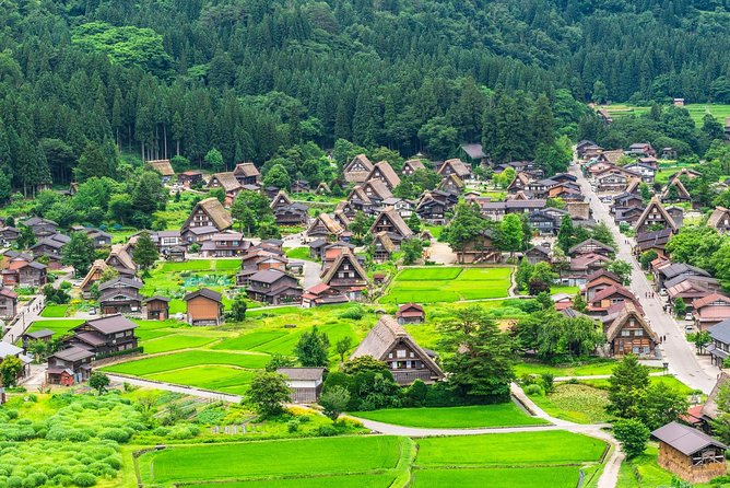 나고야 다카야마 시라카와고 투어