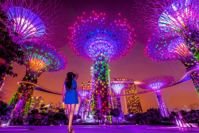 리버 크루즈와 야경 쇼