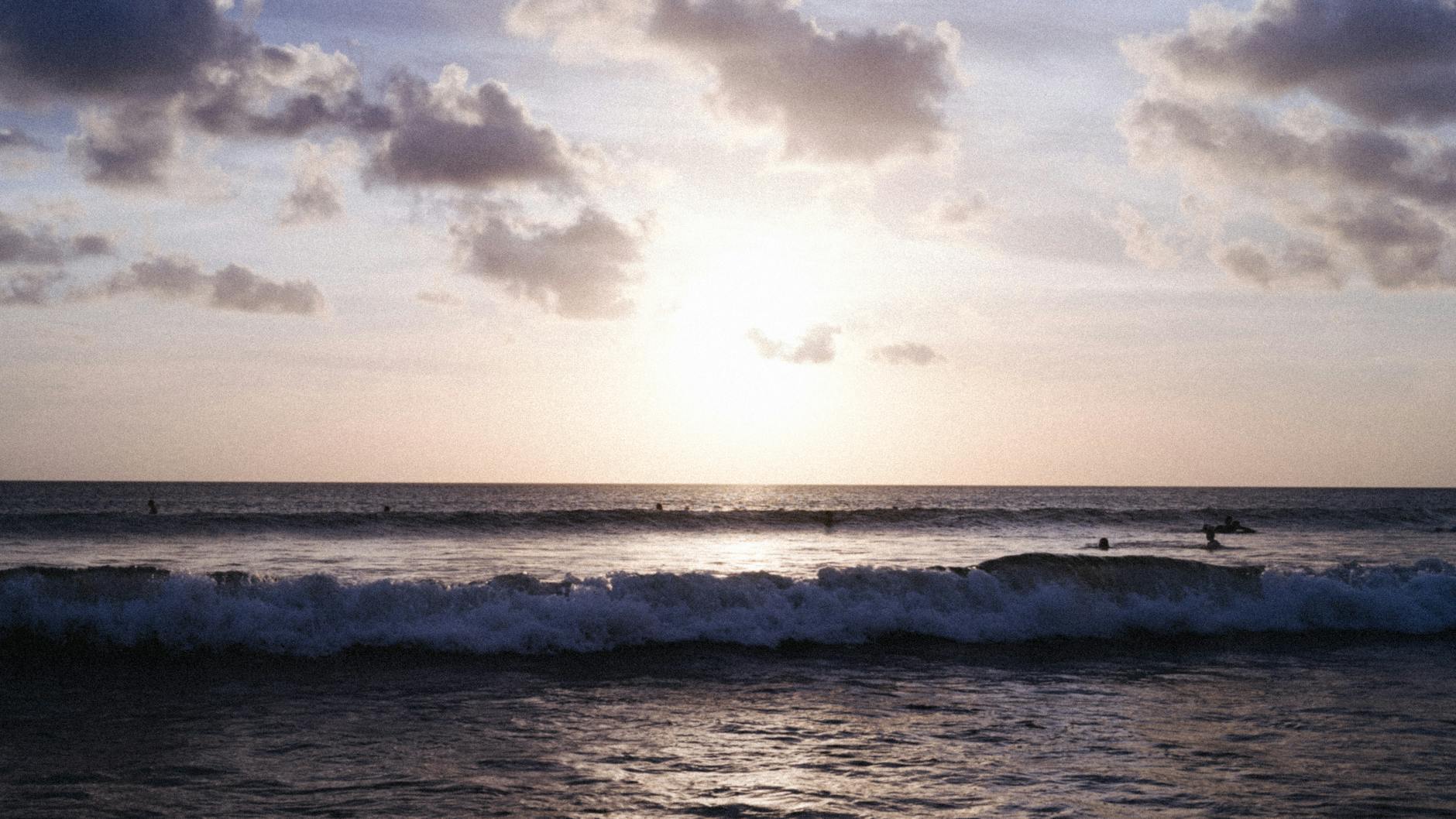 [1인출발확정]한국어가이드_오키나와 북부 투어 : 츄라우미, 만좌모 (수족관 티켓O)