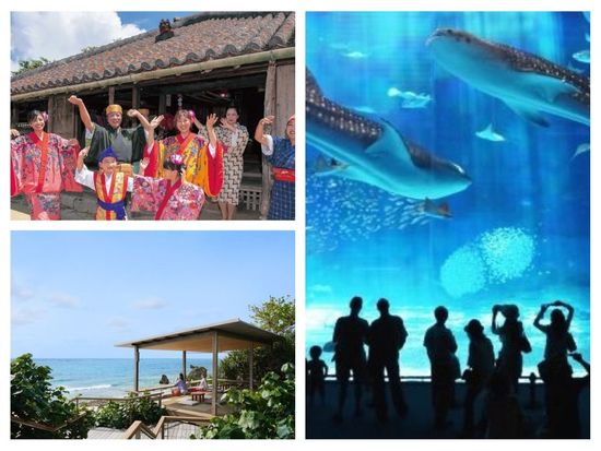 오키나와 츄라우미 만좌모 투어