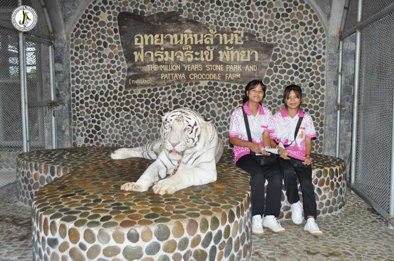 [픽업O/당일O/즉시O]파타야 악어농장 할인입장권