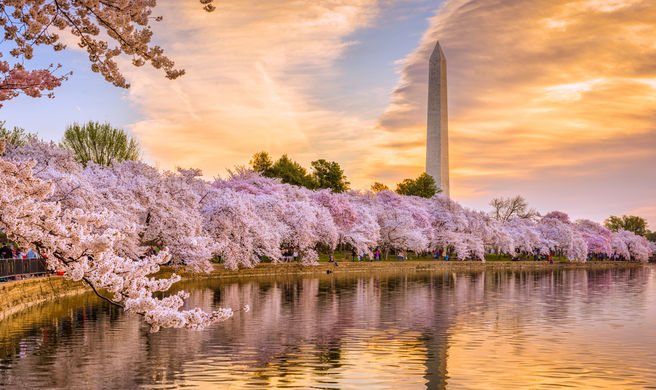 워싱턴 DC 여행 가이드