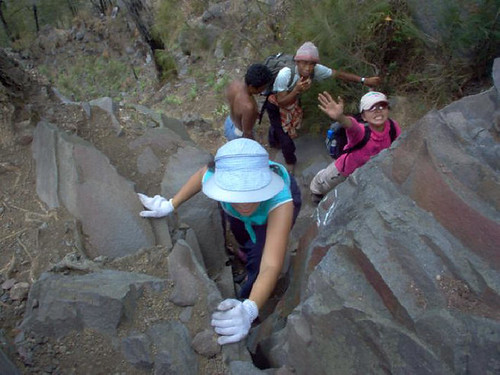 [하와이/힐로IN] 빅아일랜드 화산국립공원 일일투어