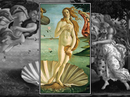 비너스의 탄생
