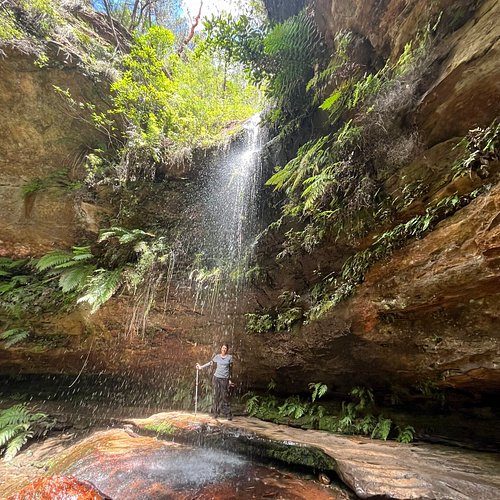 블루마운틴 추천 하이킹