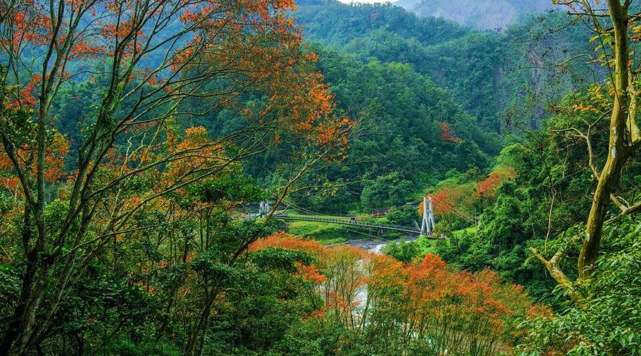 [한국인 택시투어] 예스지, 예스진지, 예스폭지, 예스허지, 카발란증류소 선택 / 단독투어