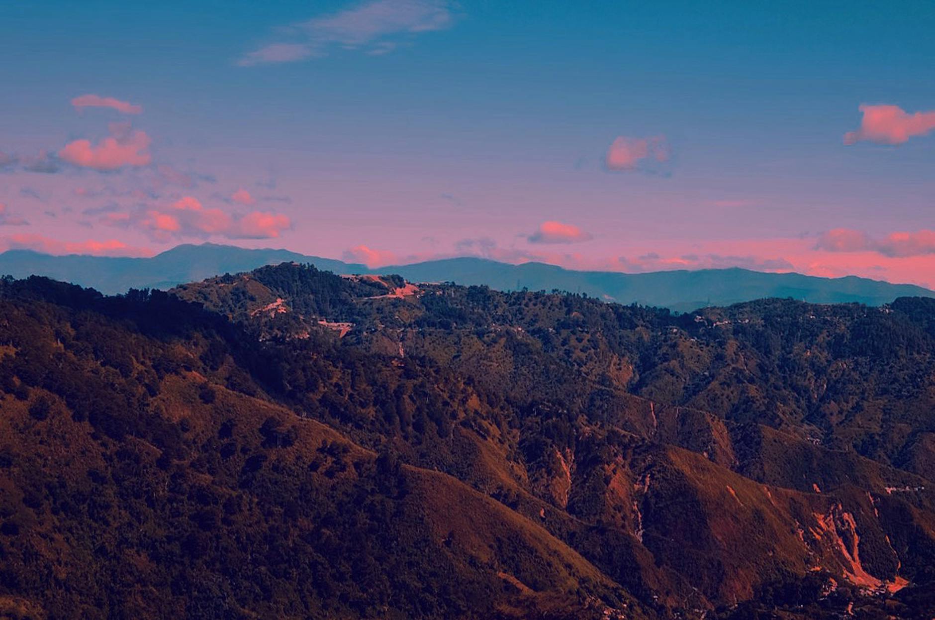 [프라이빗 단독투어] 블루마운틴 선셋 + 별보기 투어 (호주/시드니)