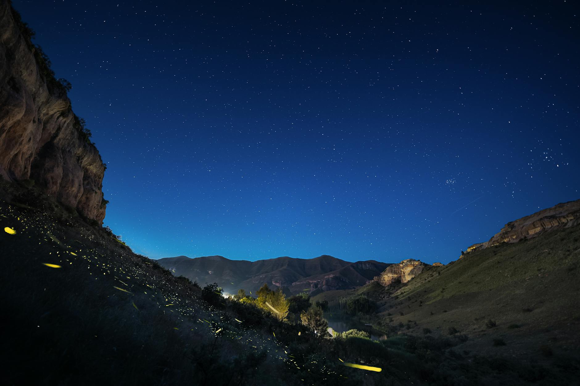 [프라이빗 단독투어] 블루마운틴 선셋 + 별보기 투어 (호주/시드니)