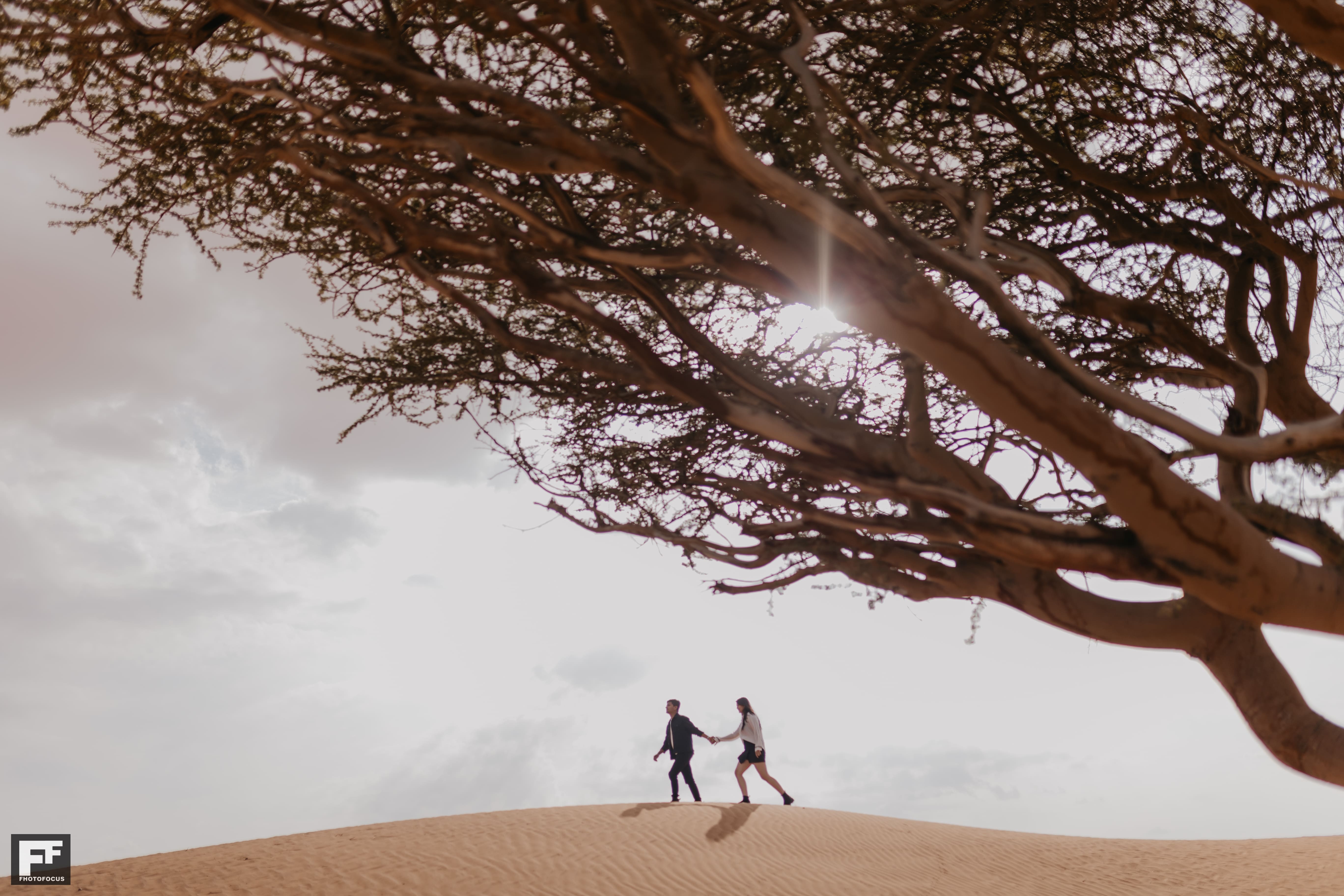 Nidhi & Vatsa - Image 47