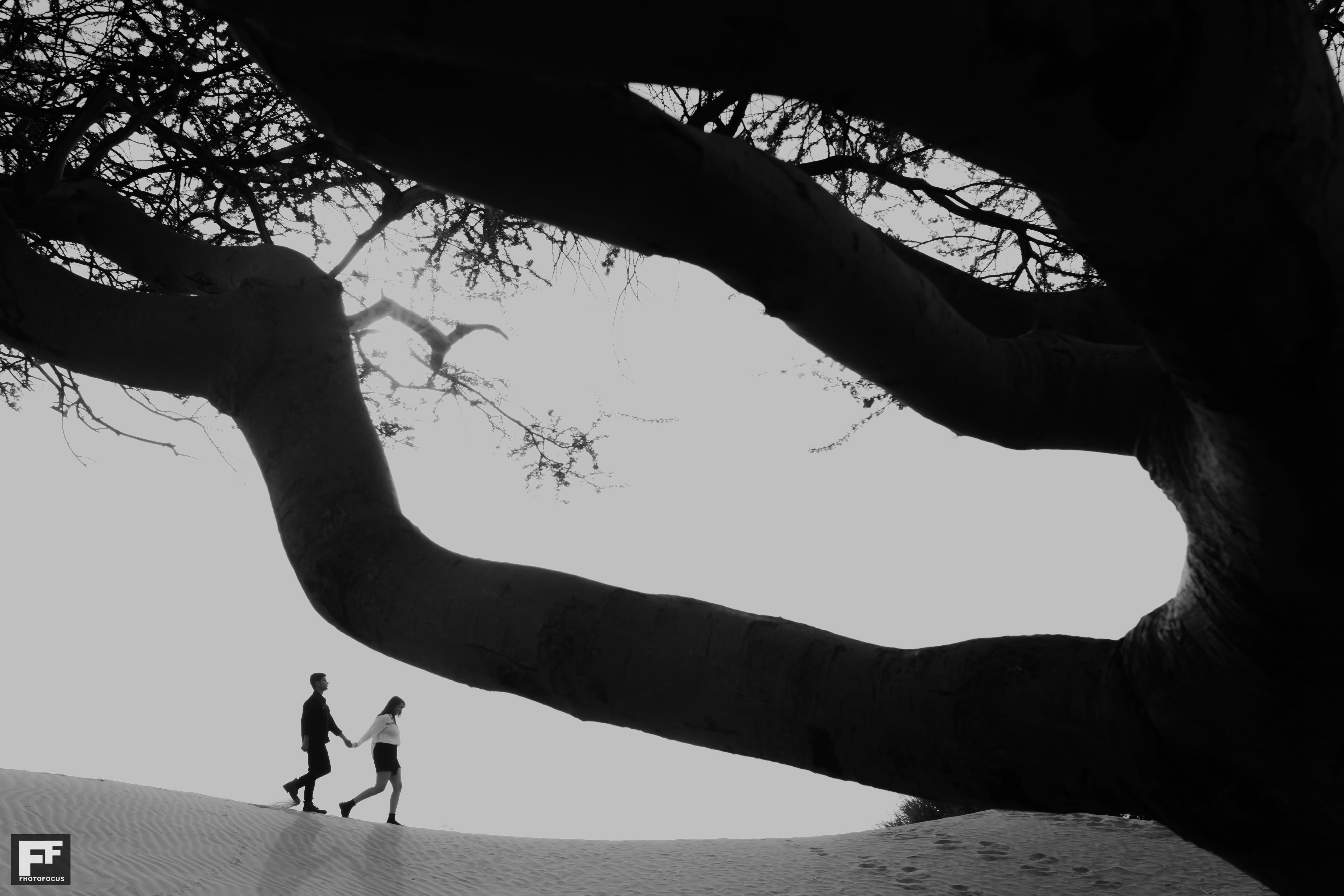 Nidhi & Vatsa - Image 45