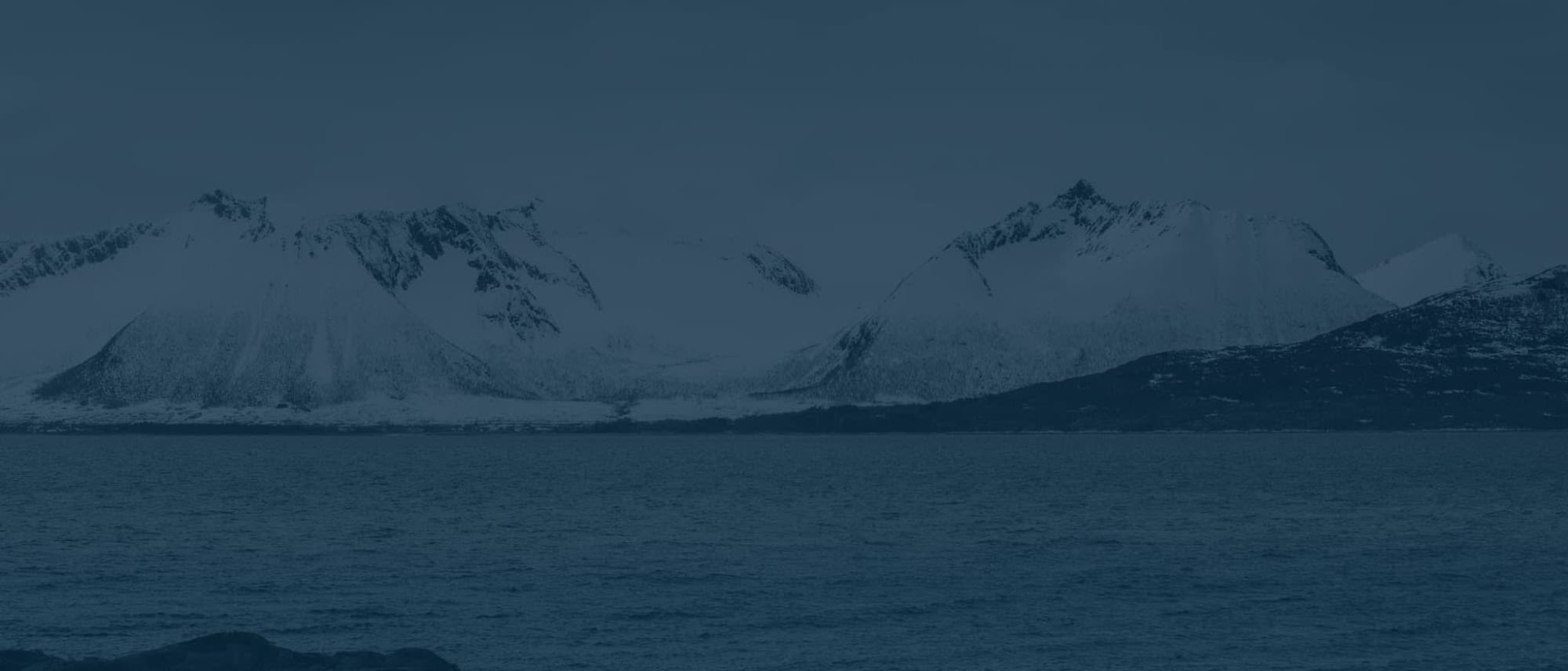 Do you have a project you want our expertise with?