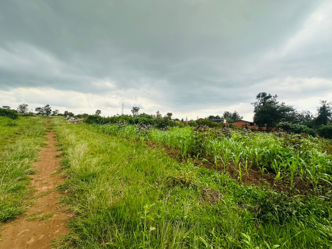 🏡 RESIDENTIAL PLOT FOR SALE – RUSORORO (NEAR INTARE CONFERENCE ARENA)
