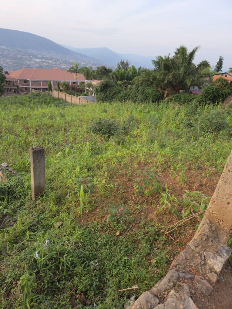 P003 PREMIUM LAND FOR SALE IN REBERO – KIGALI (1 HECTARE) 🌟