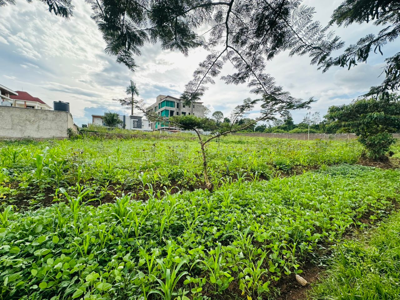 P016 Prime Plot for Sale in Kinyinya – Ready for Immediate Construction