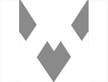 Wans Music Entertainment Logo