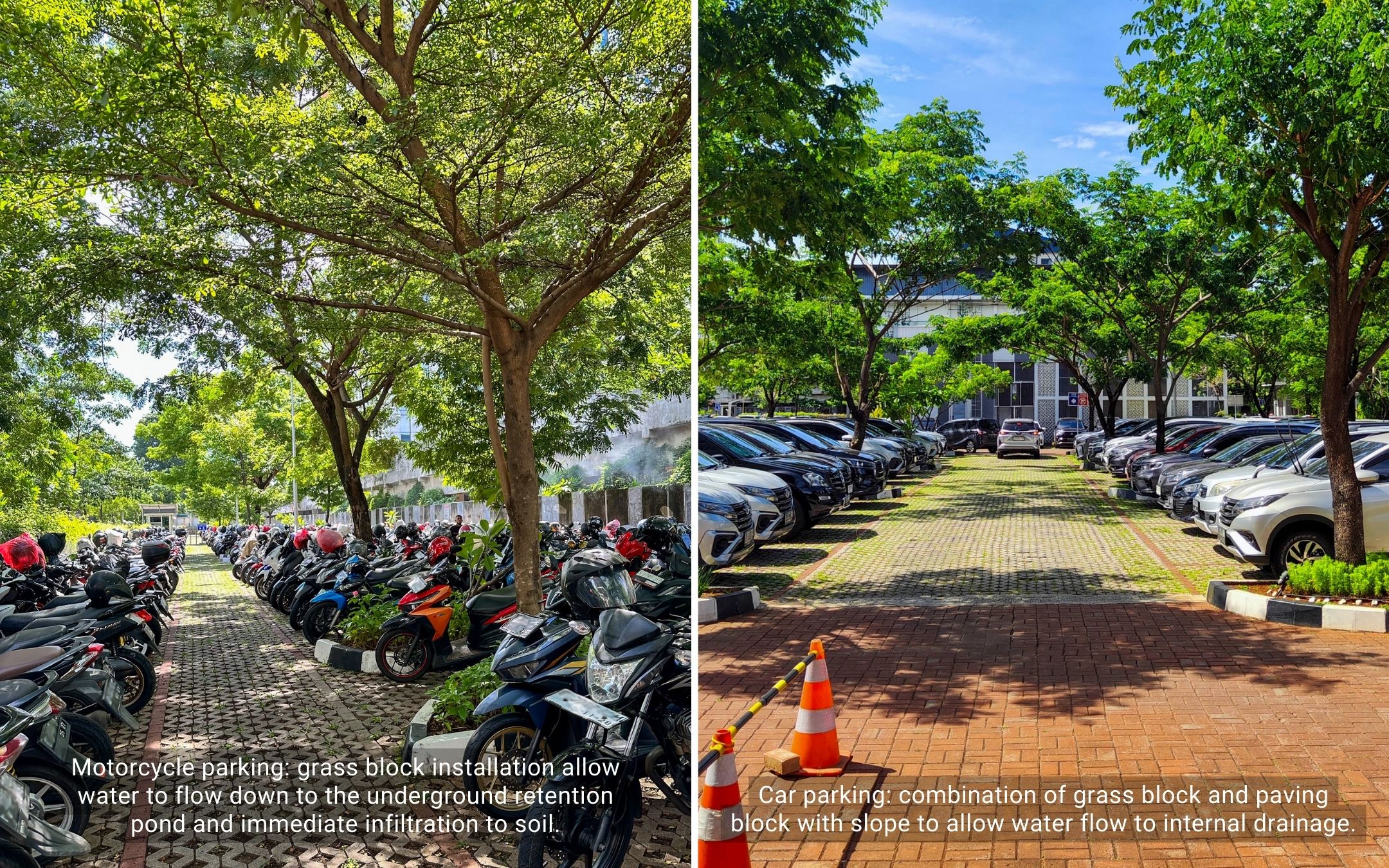 Parking area on permeable paving blocks