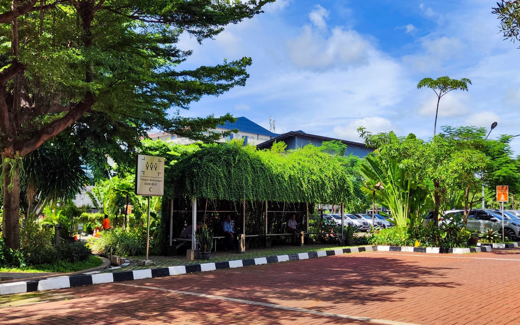 Permeable paving blocks at parking area