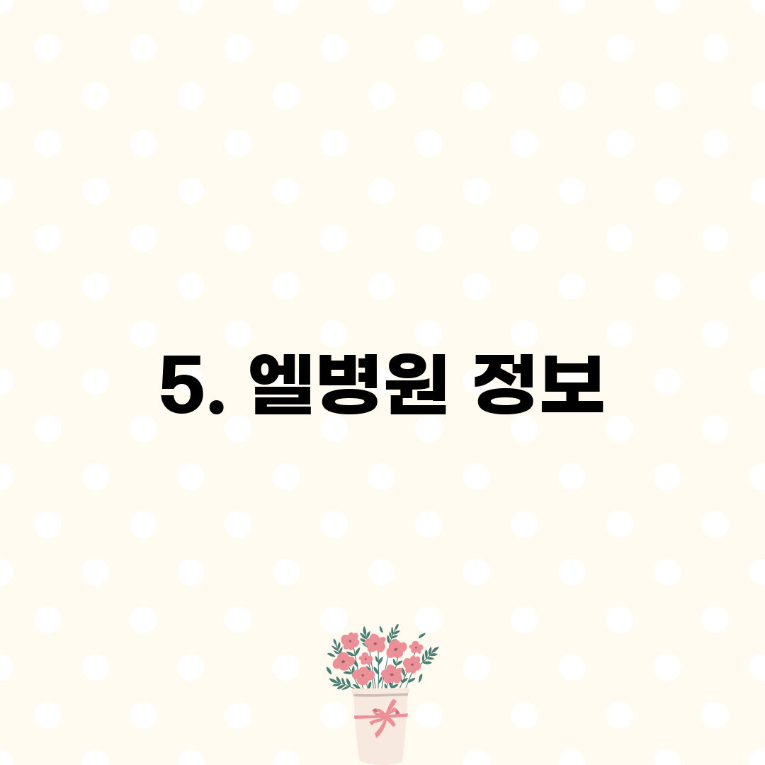 5. 엘병원 정보