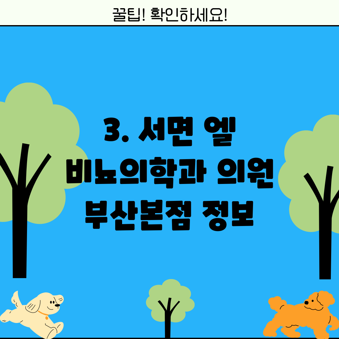 3. 서면 엘 비뇨의학과 의원 부산본점 정보