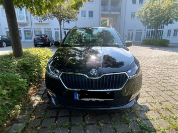 Skoda Kombi Bild 3