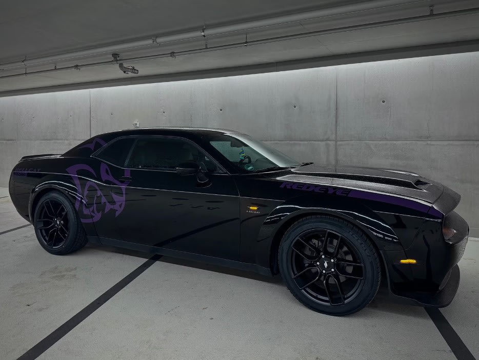 Dodge Sport Bild 5