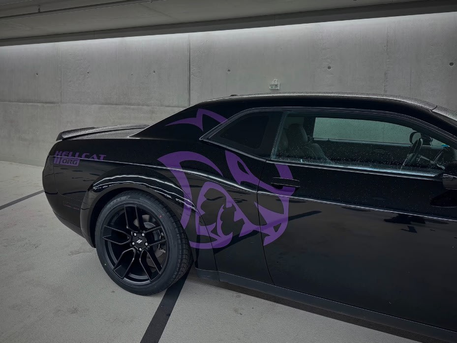 Dodge Sport Bild 6