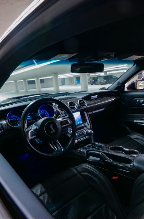 Ford Sport Bild 5