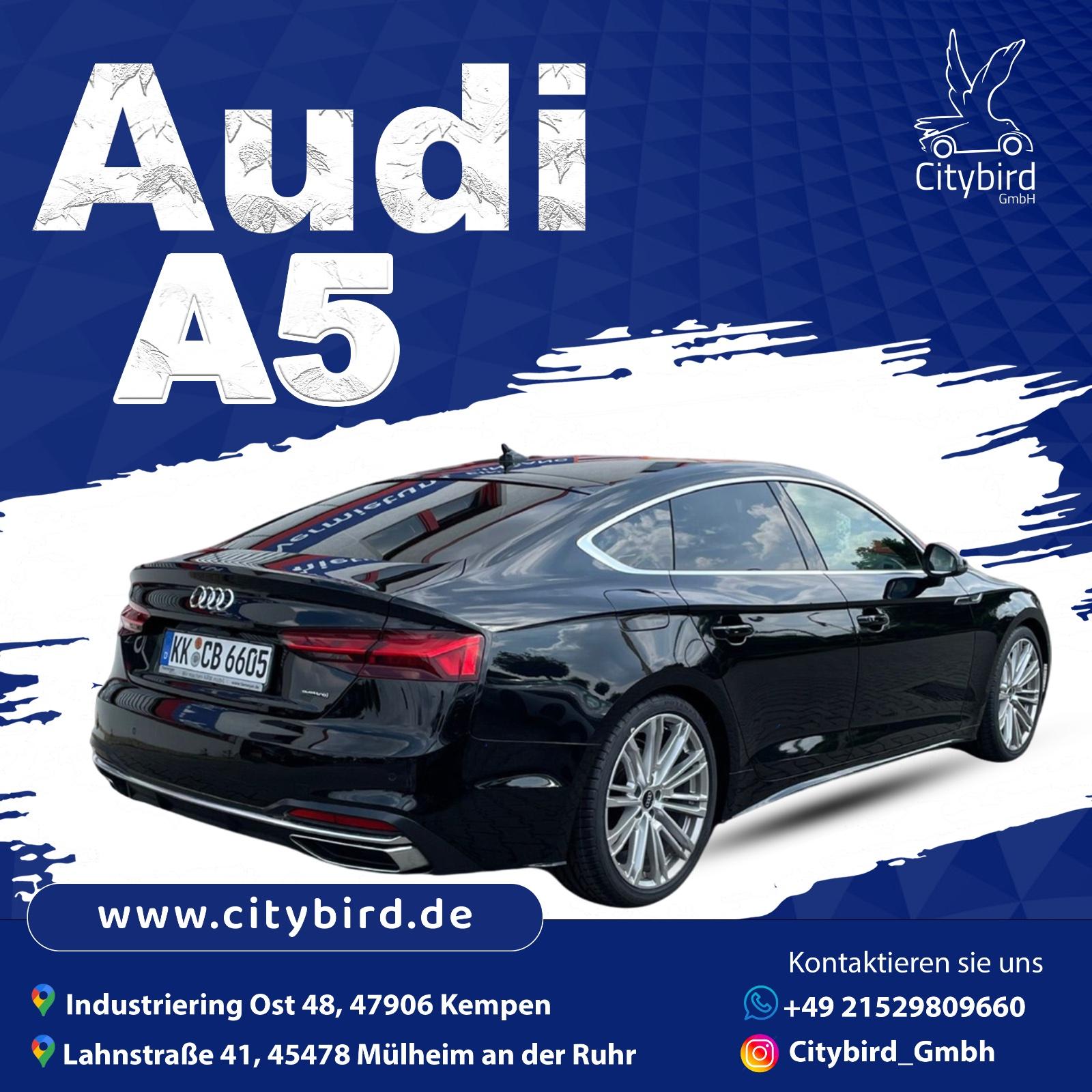 Audi A5 Sportback 40 TDI Q Advanced Bild 4