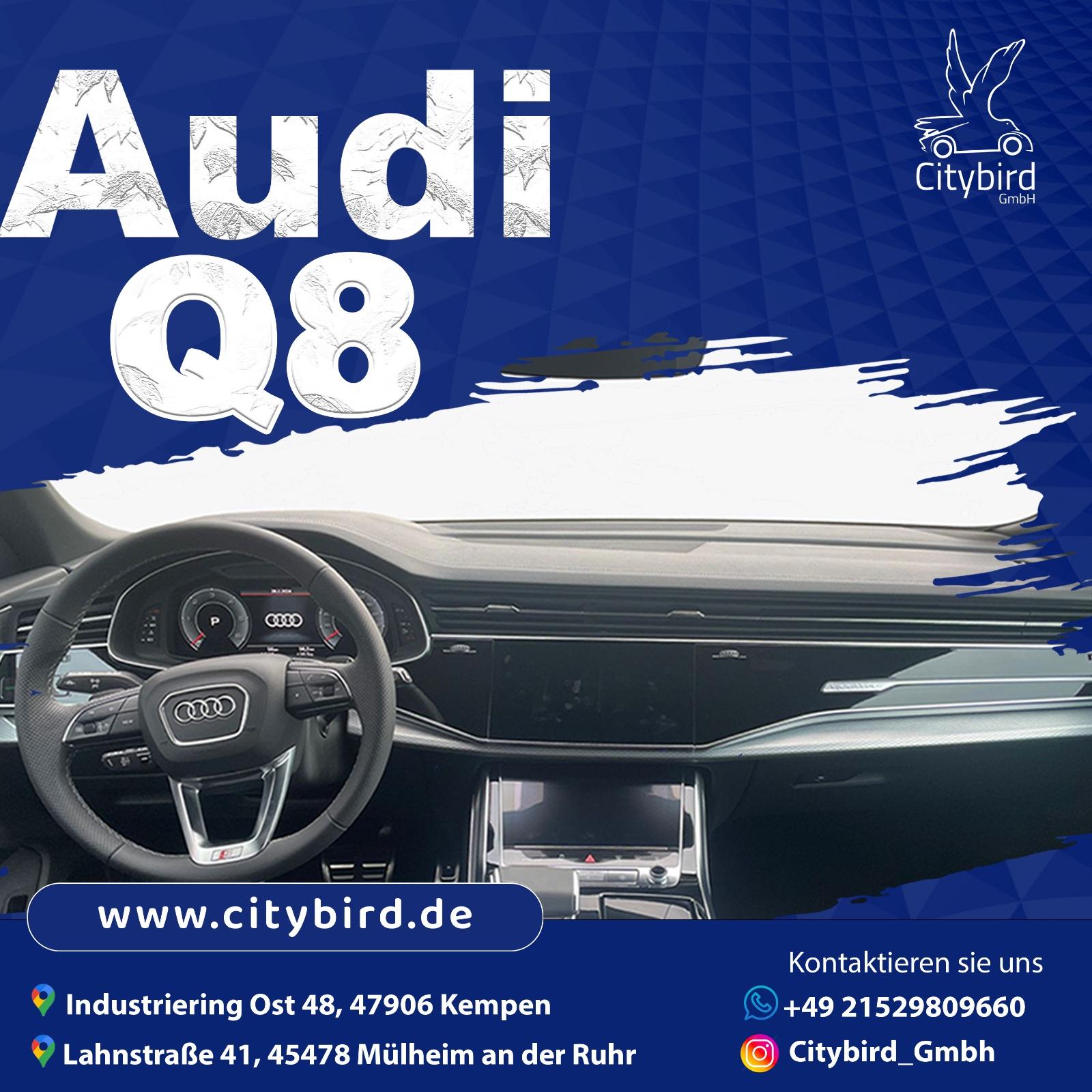 Audi SUV Bild 6
