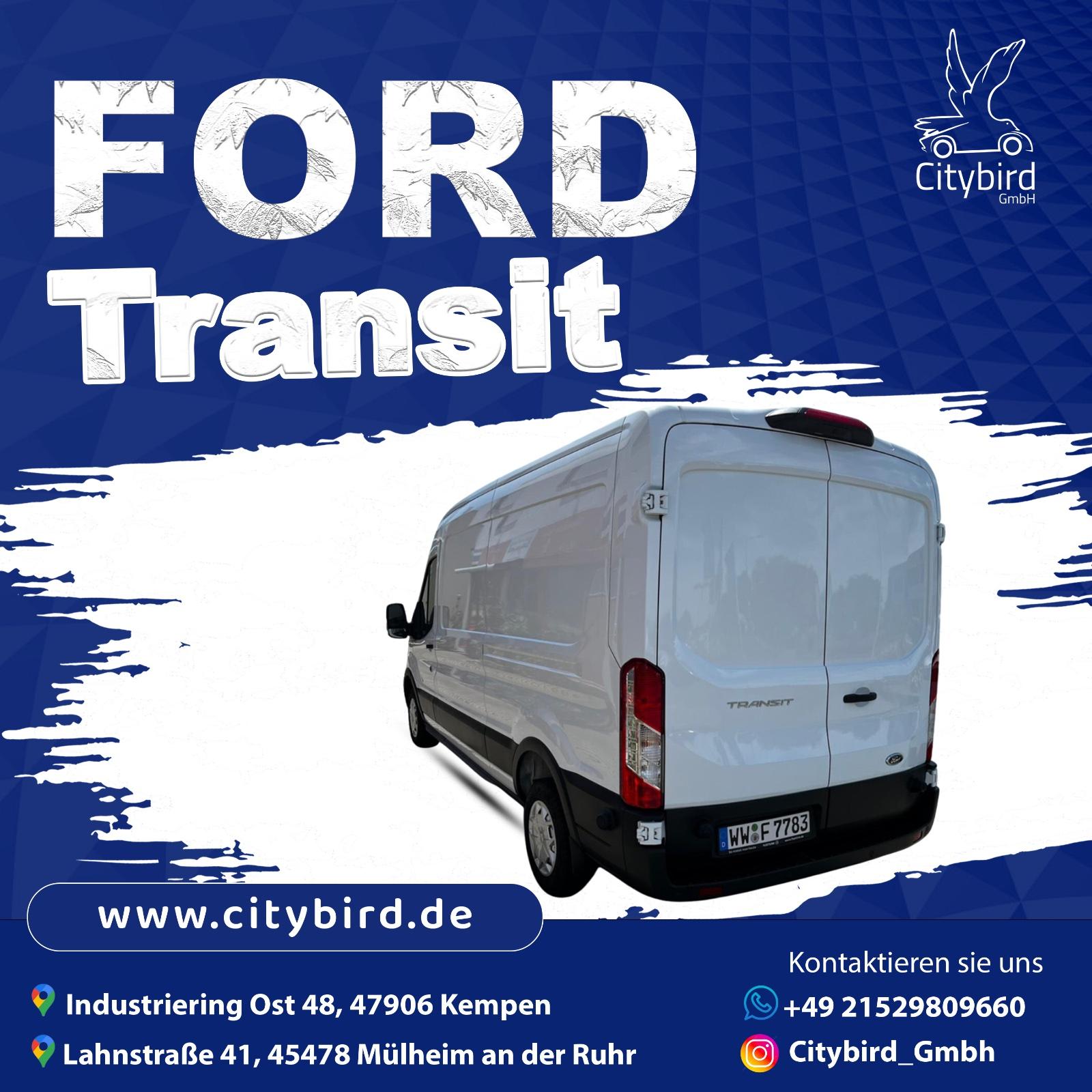 Ford Transit Kastenwagen Autovermietung Bild 3