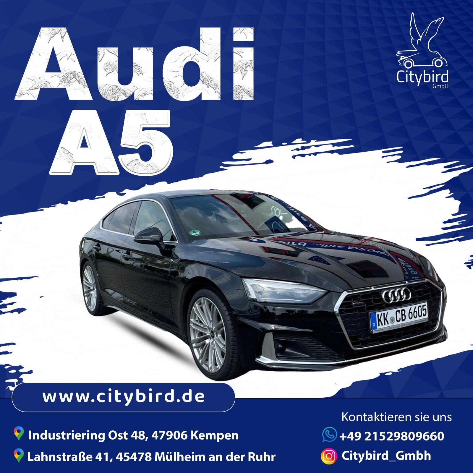Audi A5 Sportback 40 TDI Q Advanced Bild 3