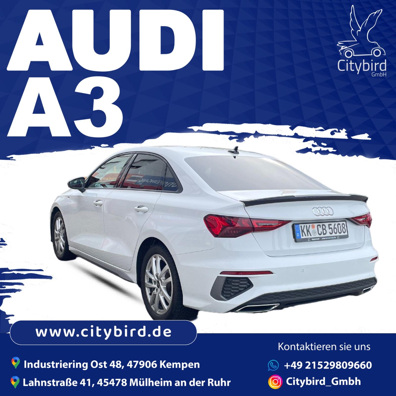 Audi Limousine Bild 4