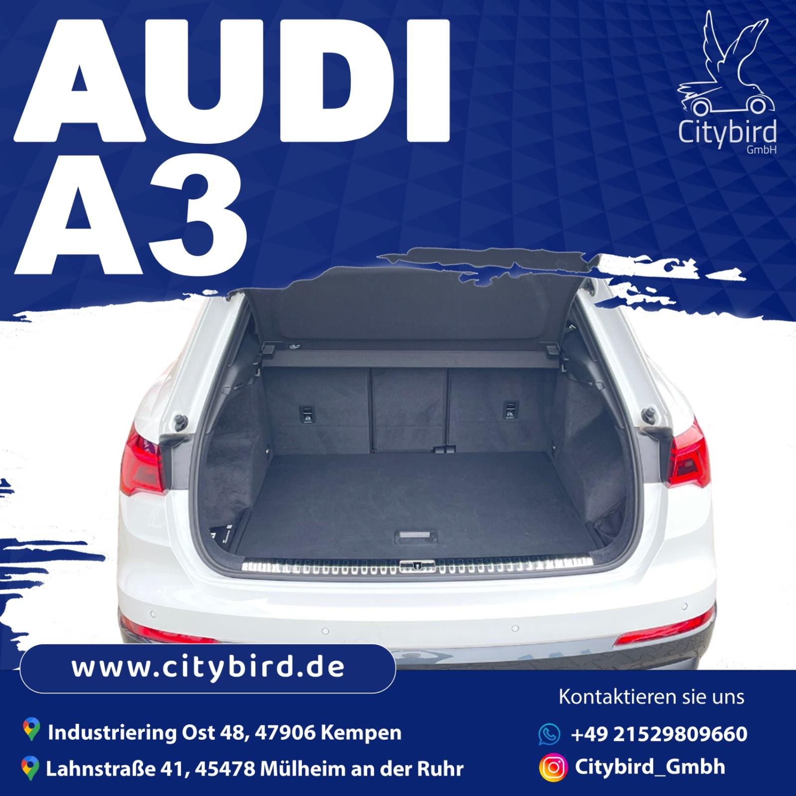 Audi Limousine Bild 6