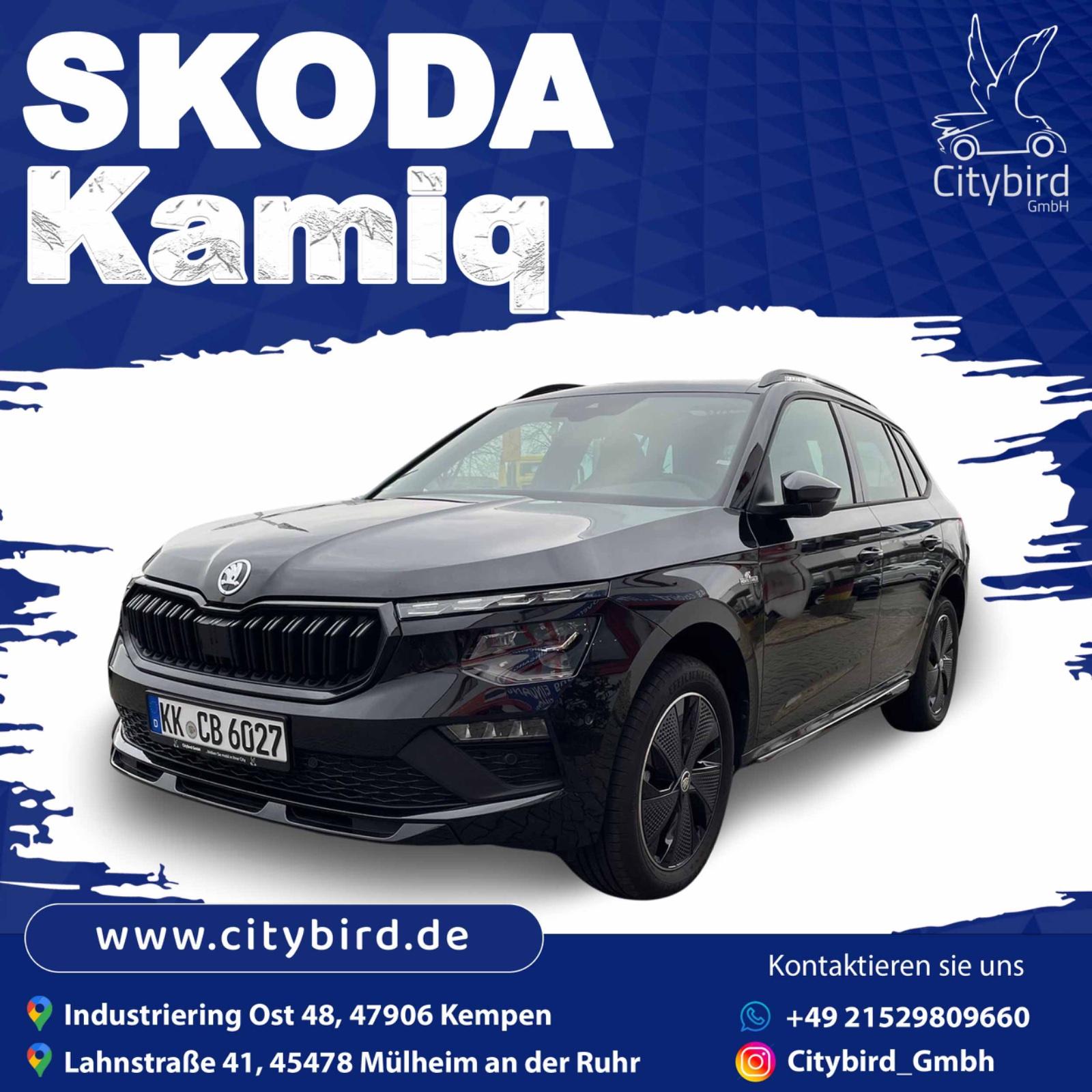 Skoda SUV Bild 2