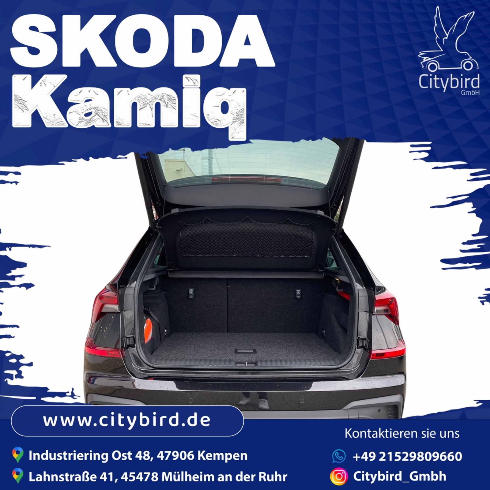 Skoda SUV Bild 4