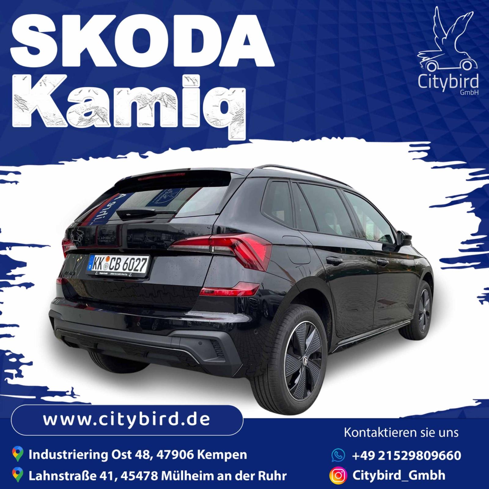 Skoda SUV Bild 3