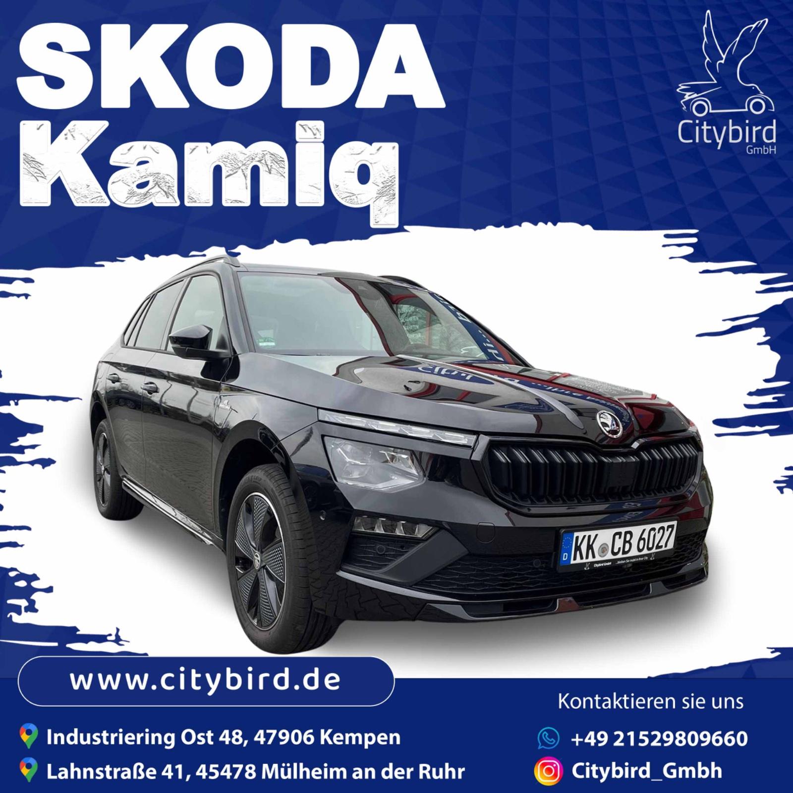 Skoda SUV Bild 6