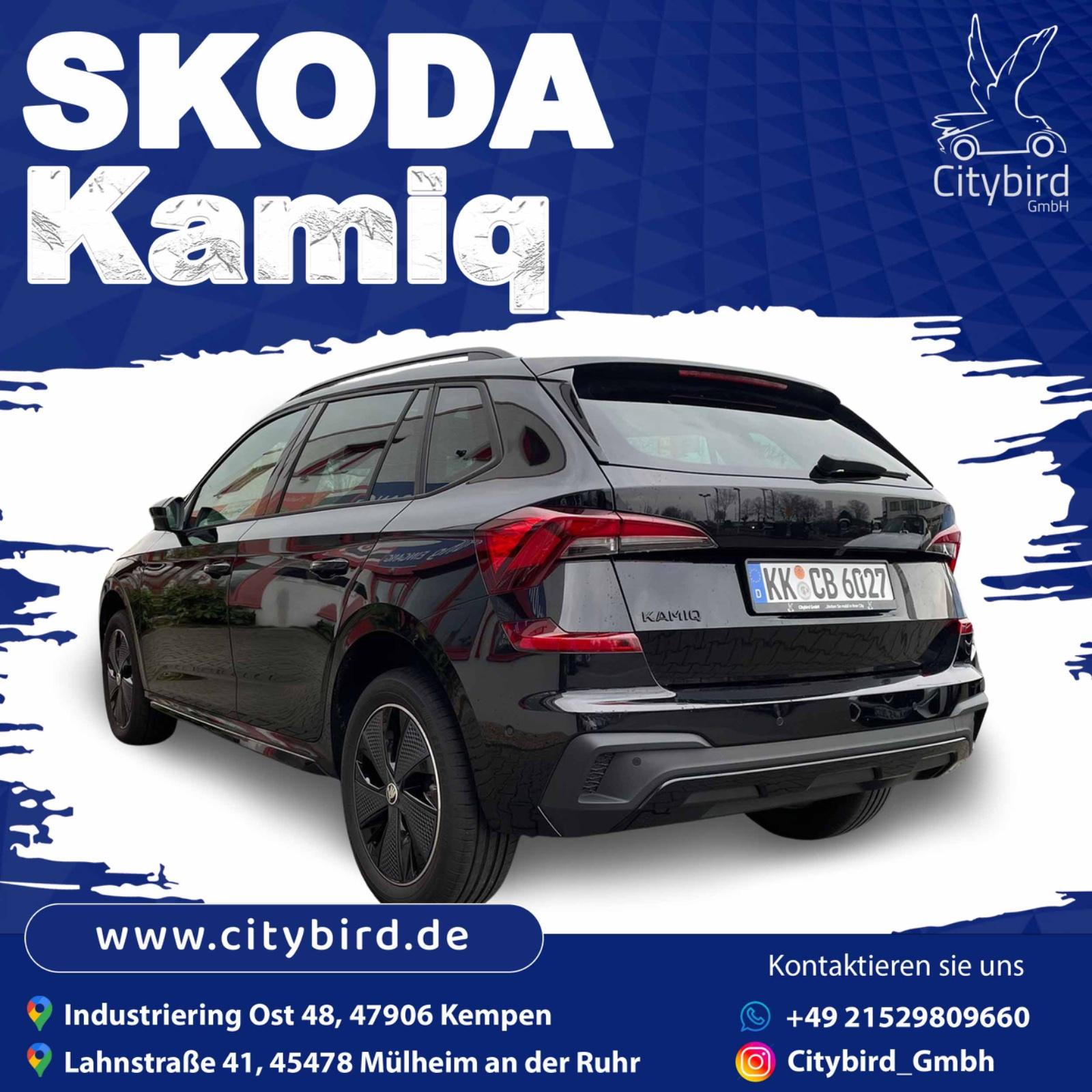 Skoda SUV Bild 5