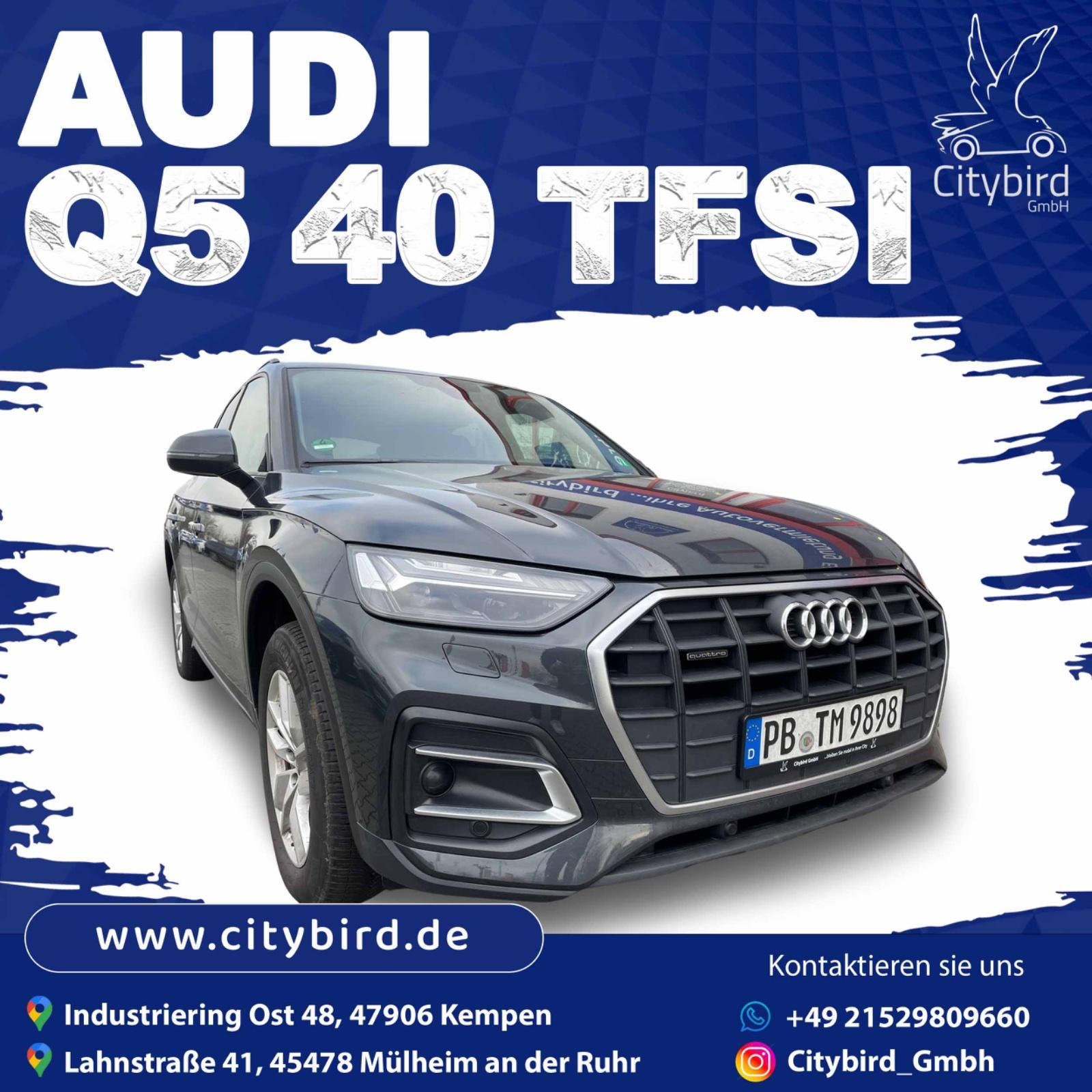 Audi SUV Bild 3