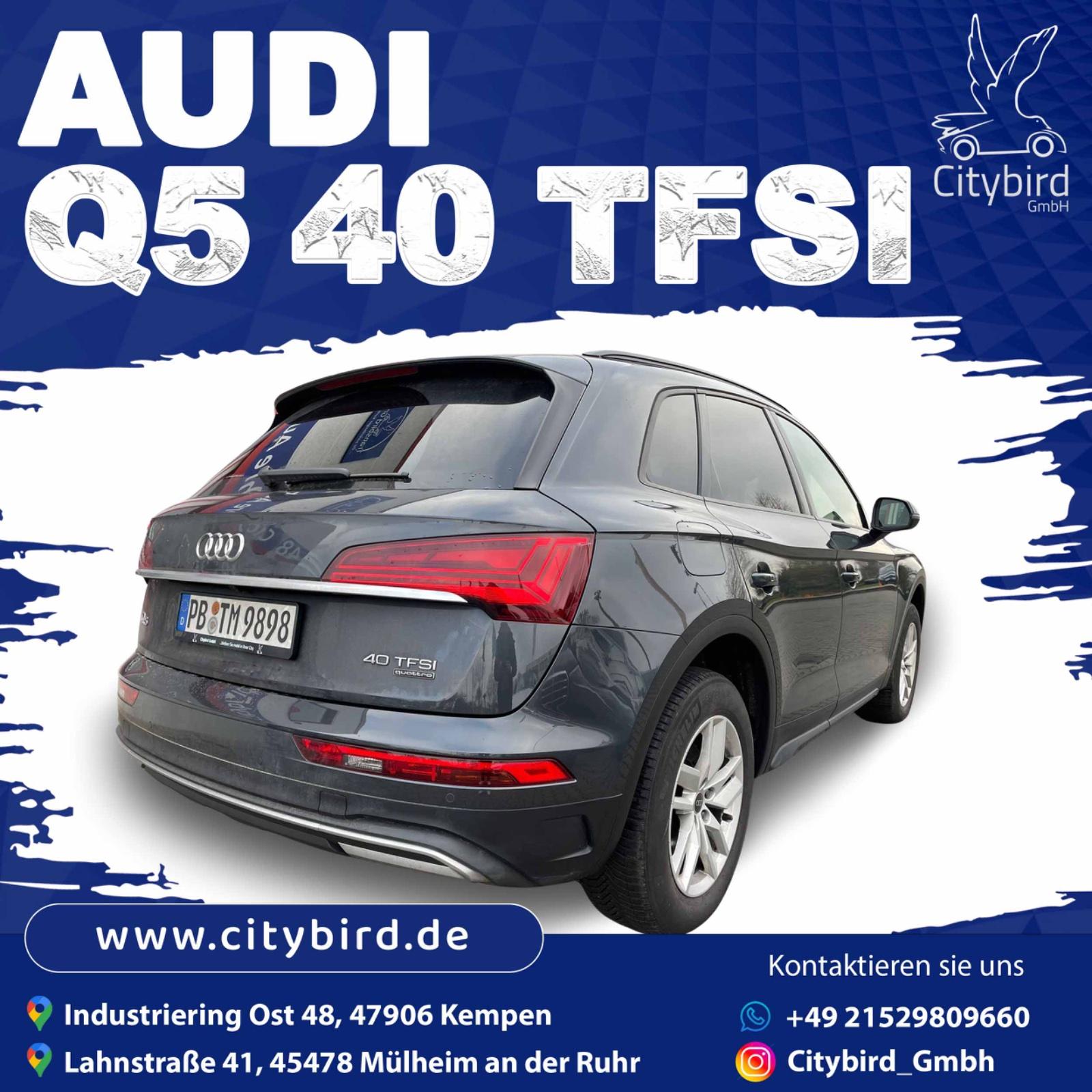 Audi SUV Bild 5