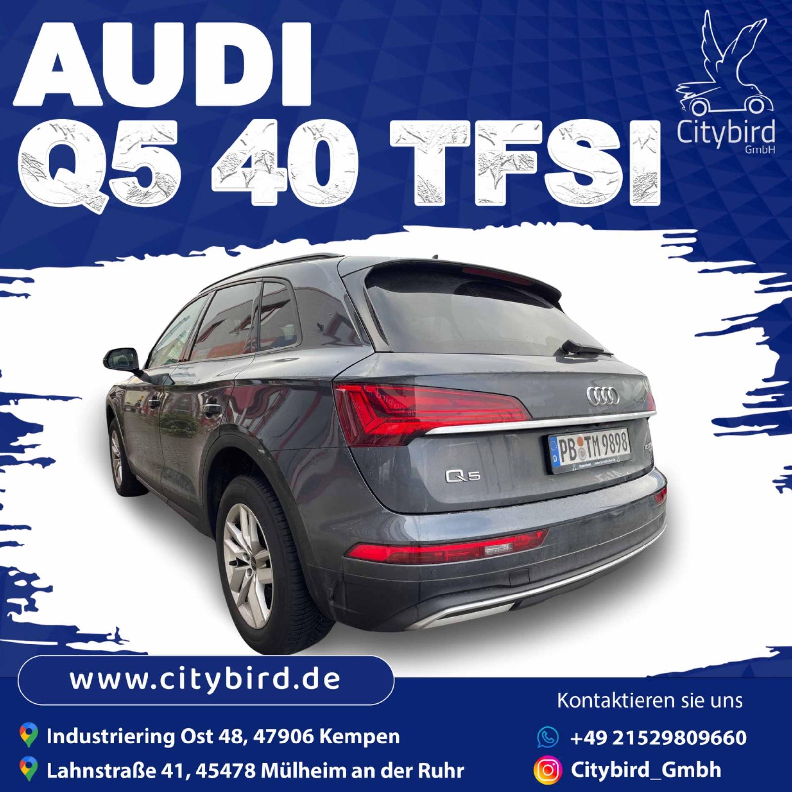 Audi SUV Bild 4