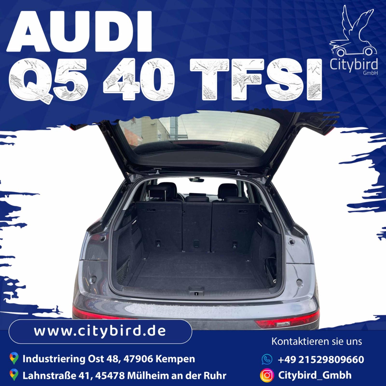 Audi SUV Bild 6
