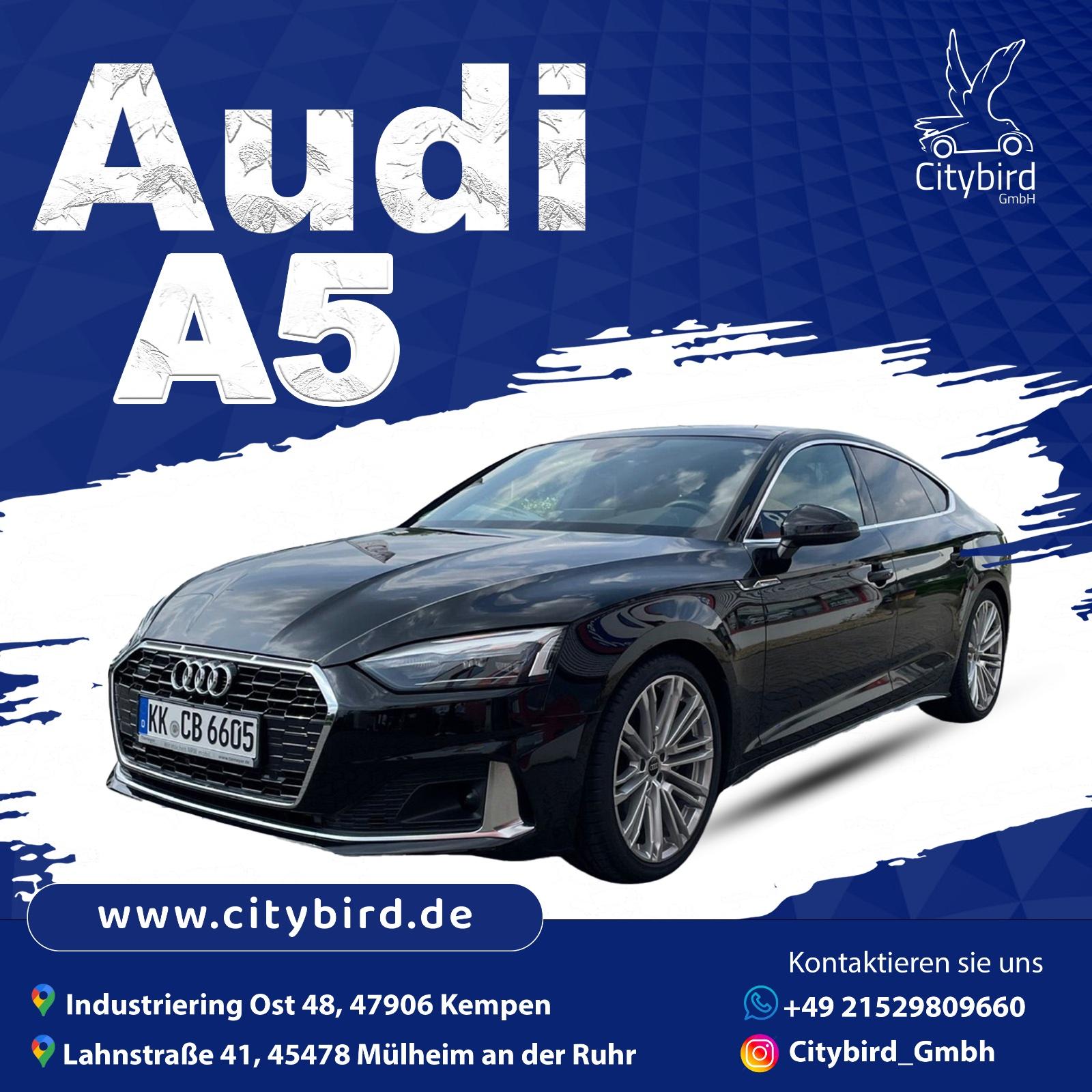 Audi A5 Sportback 40 TDI Q Advanced Bild 2