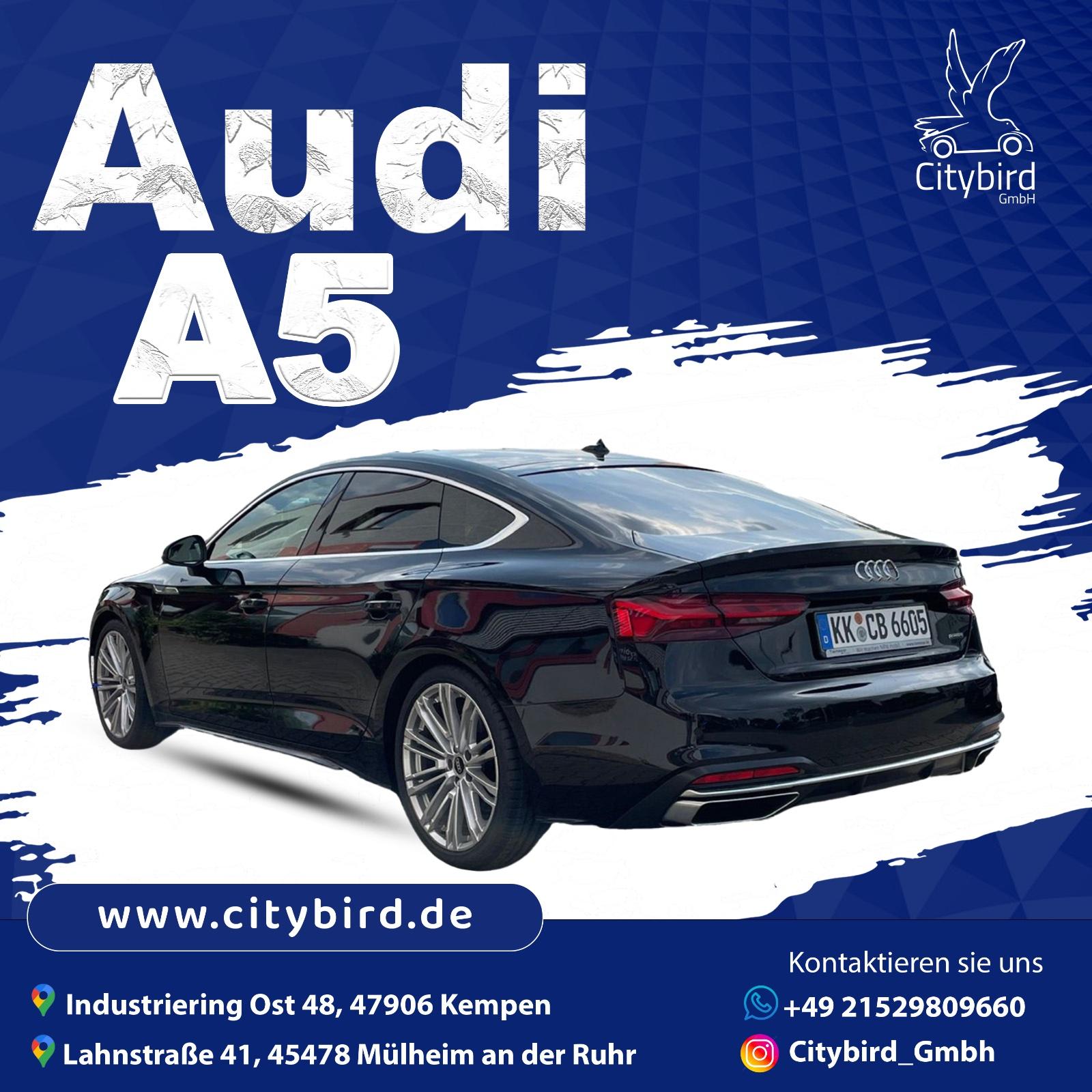 Audi A5 Sportback 40 TDI Q Advanced Bild 3