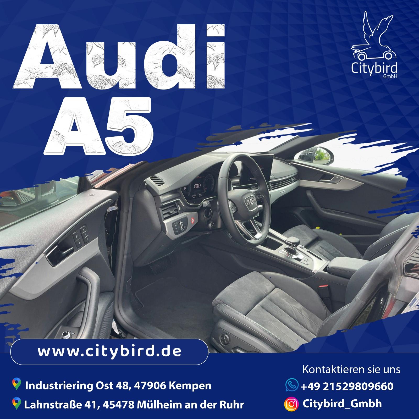 Audi A5 Sportback 40 TDI Q Advanced Bild 6